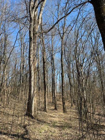 0 New Herman Rd, Lynchburg, TN 37352