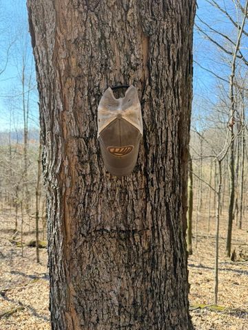 0 New Herman Rd, Lynchburg, TN 37352