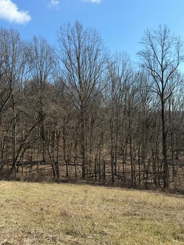 0 New Herman Rd, Lynchburg, TN 37352