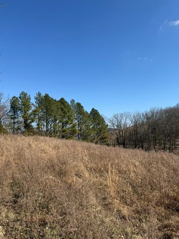 0 New Herman Rd, Lynchburg, TN 37352