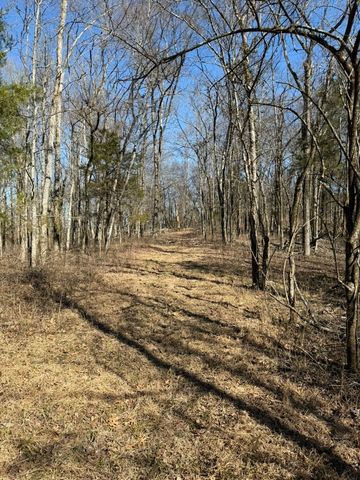 0 New Herman Rd, Lynchburg, TN 37352