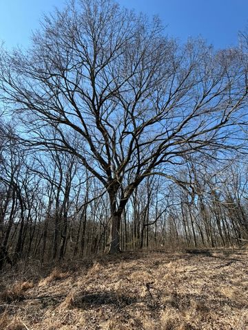 0 New Herman Rd, Lynchburg, TN 37352