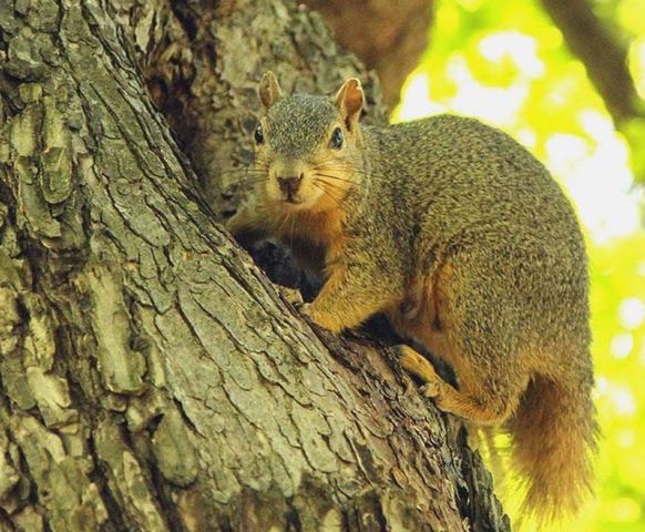 0 New Herman Rd, Lynchburg, TN 37352