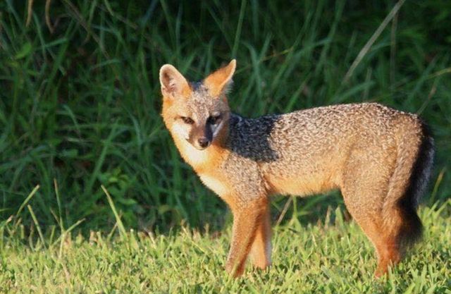 0 New Herman Rd, Lynchburg, TN 37352