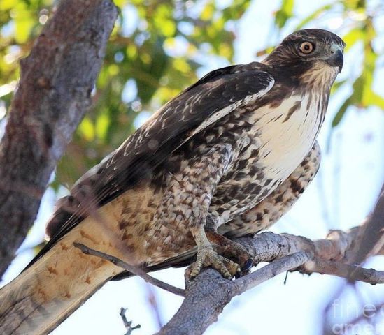 0 New Herman Rd, Lynchburg, TN 37352