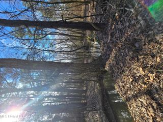 Cooper Road, Byhalia, MS 38611