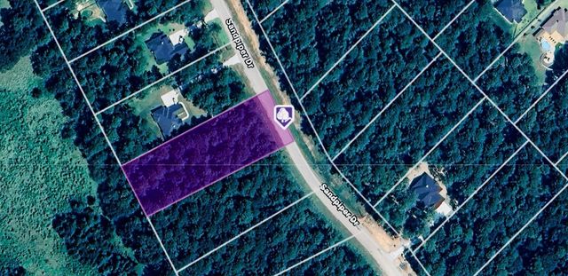 0 Sandpiper Drive, New Waverly, TX 77358