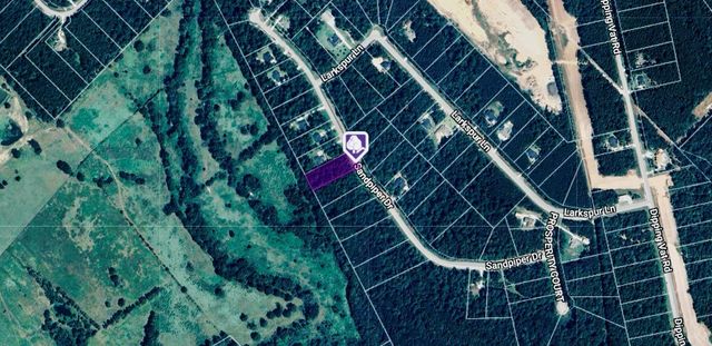 0 Sandpiper Drive, New Waverly, TX 77358