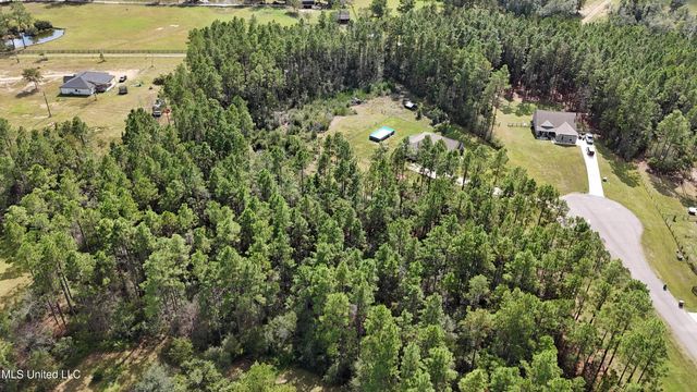 19805 Green Forrest Drive, Pass Christian, MS 39571