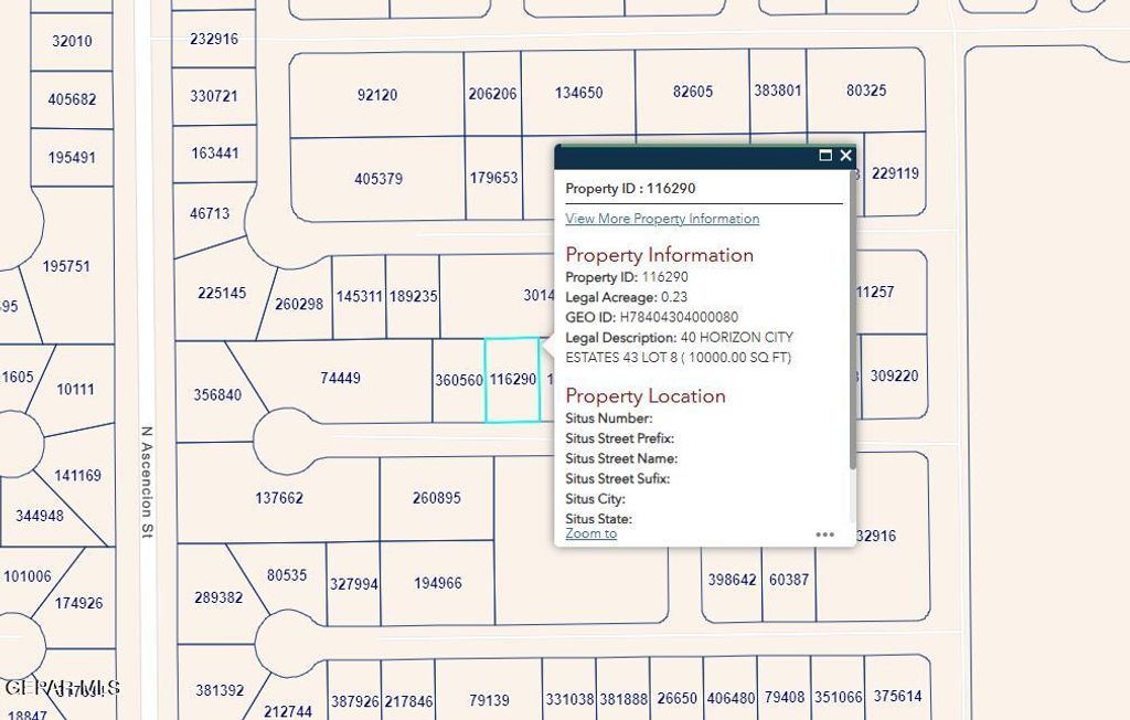 PN-116290 40 Horizon City Estates Lot 8, Horizon City, TX 79928