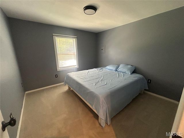 8520 Lake Drive, Cedar Hill, MO 63016