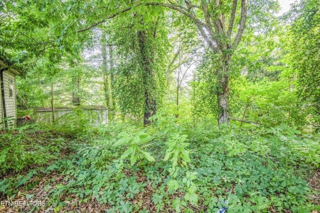 325 W Hills Drive, Lenoir City, TN 37771