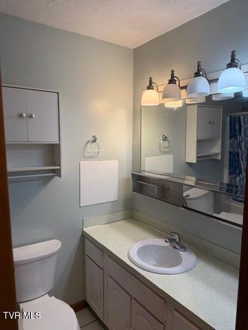 226 Shadow Hill Lane, Bristol, VA 24201