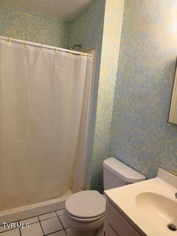 226 Shadow Hill Lane, Bristol, VA 24201