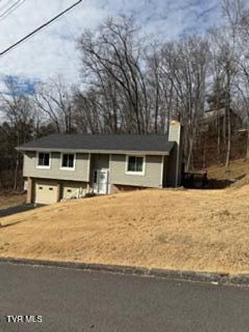 226 Shadow Hill Lane, Bristol, VA 24201