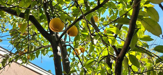 35 Merrimac Pl, Pittsburg, CA 94565