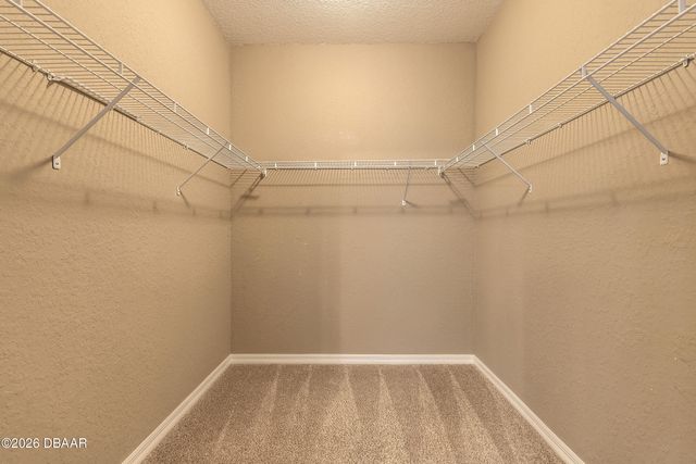 830 Airport Rd Apt 209, Port Orange, FL 32128