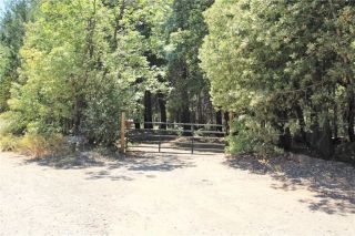 268 Milsap Bar Road, Berry Creek, CA 95916