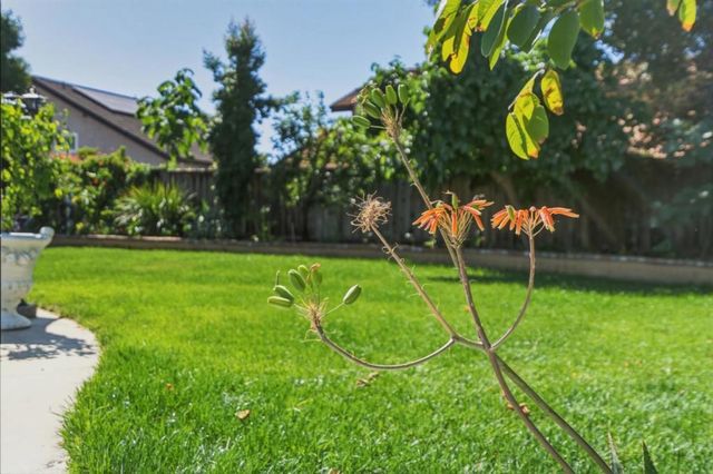 2859 Broken Oak Court, San Jose, CA 95148