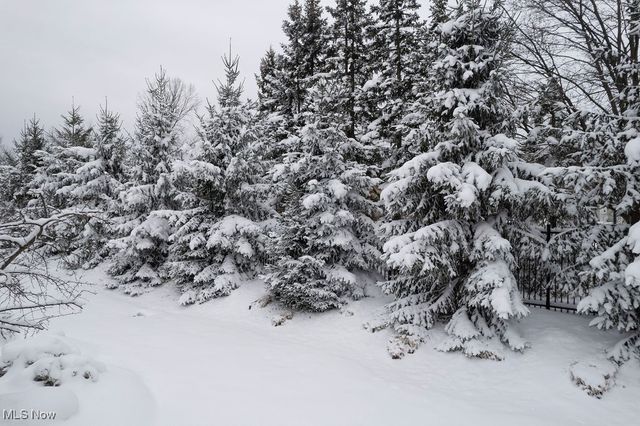 16 Deerfield Lane, Beachwood, OH 44122