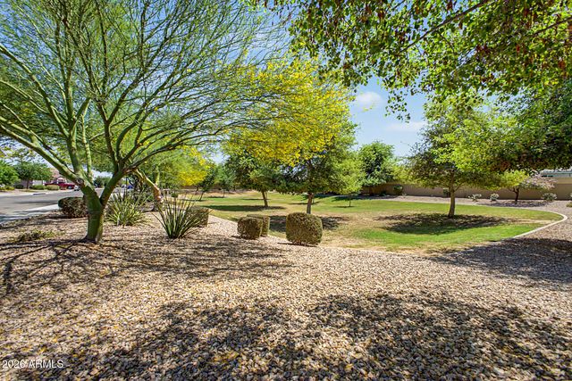 2120 W OLIVIA Drive, San Tan Valley, AZ 85144