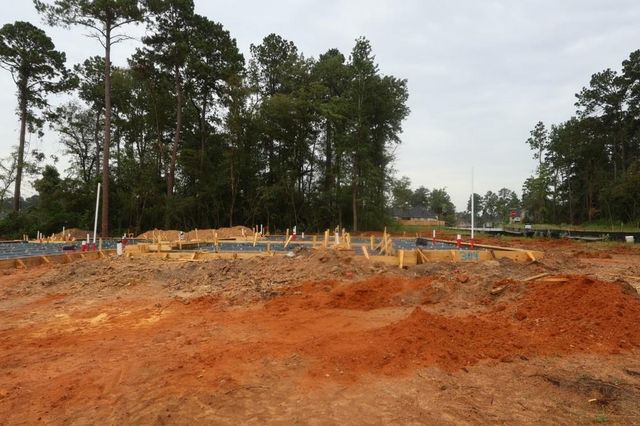 304 Twilight Haze Court, Willis, TX 77318