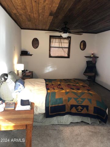 34 COUNTY ROAD N6437 --, St Johns, AZ 85936