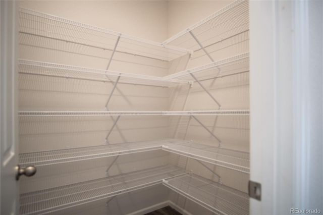 4593 Gray Wolf Lane, Castle Rock, CO 80104