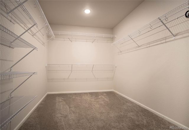 4593 Gray Wolf Lane, Castle Rock, CO 80104