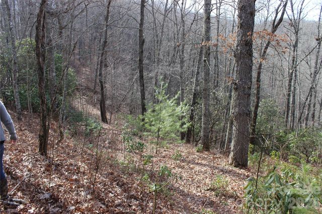 Lots 82 & 83 Waterdance Drive, Tuckasegee, NC 28783