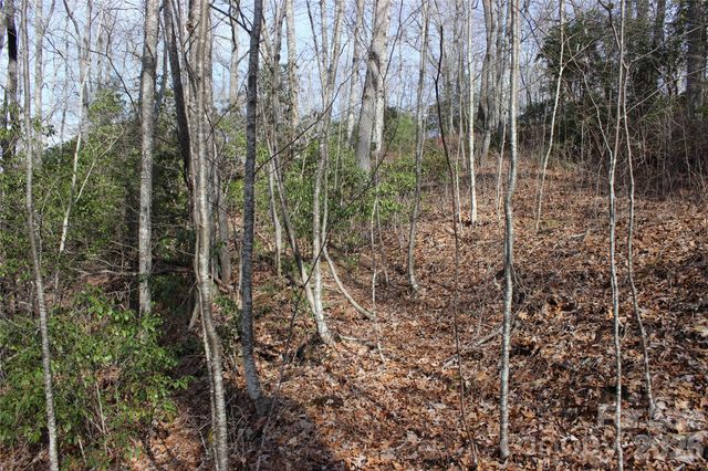 Lots 82 & 83 Waterdance Drive, Tuckasegee, NC 28783