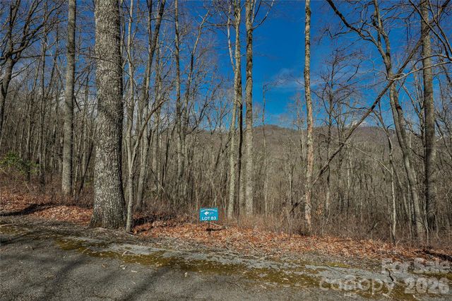 Lots 82 & 83 Waterdance Drive, Tuckasegee, NC 28783