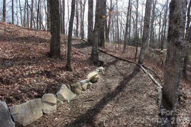 Lots 82 & 83 Waterdance Drive, Tuckasegee, NC 28783