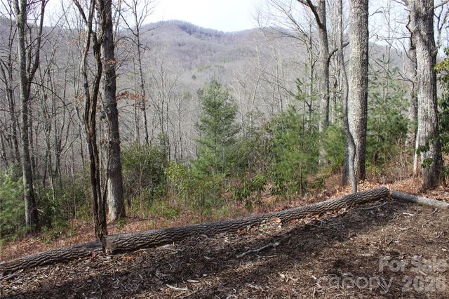 Lots 82 & 83 Waterdance Drive, Tuckasegee, NC 28783