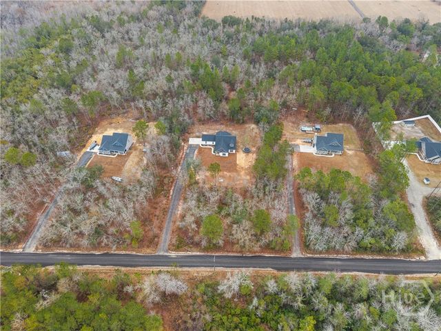 199 Flowers Spur Road NE, Ludowici, GA 31316