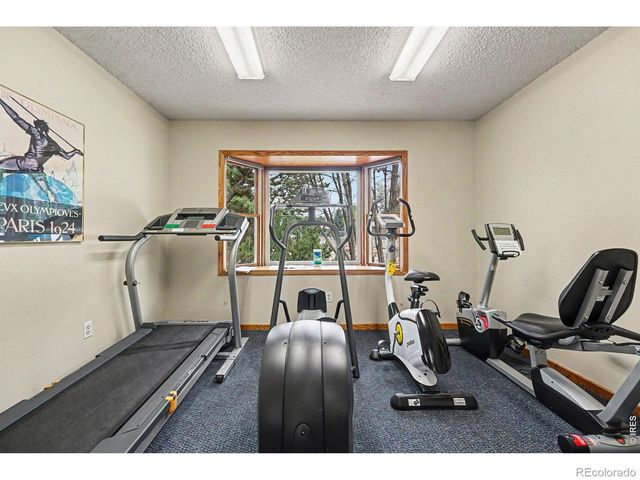 1566 W 29th Street, Loveland, CO 80538