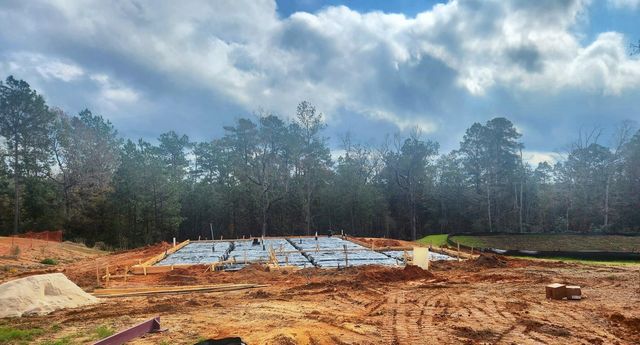 11791 Oakwood Ranch Drive, Willis, TX 77378