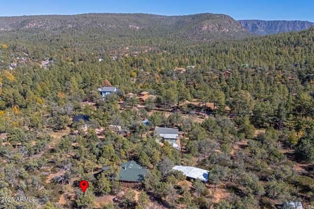 4851 N Tanner Lane, Pine, AZ 85544