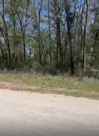 24961 Leitrim Street Street, Hempstead, TX 77445