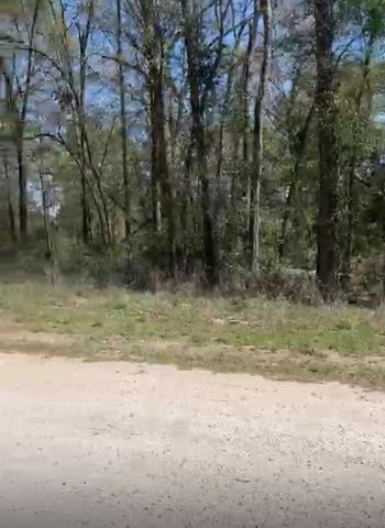 24961 Leitrim Street Street, Hempstead, TX 77445