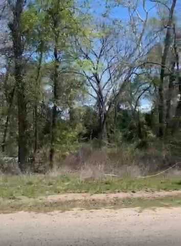 24961 Leitrim Street Street, Hempstead, TX 77445