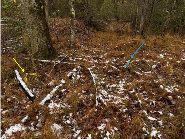 55 Dietrich, Fox Chapel, PA 15238