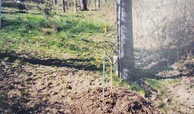 55 Dietrich, Fox Chapel, PA 15238