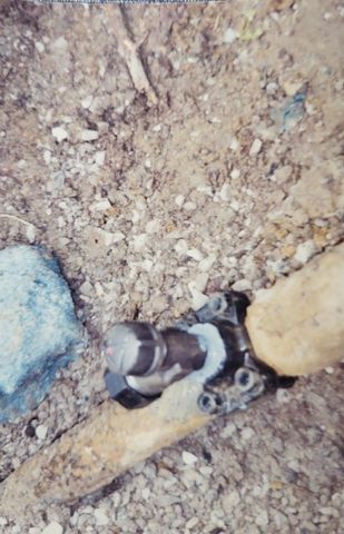 55 Dietrich, Fox Chapel, PA 15238