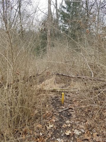 55 Dietrich, Fox Chapel, PA 15238