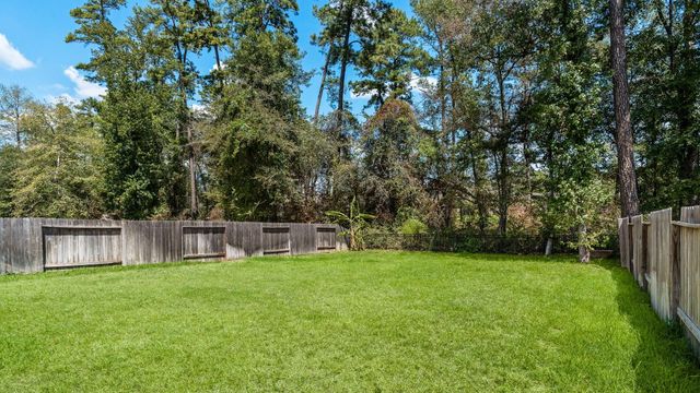135 Courageous Side Way, Magnolia, TX 77354