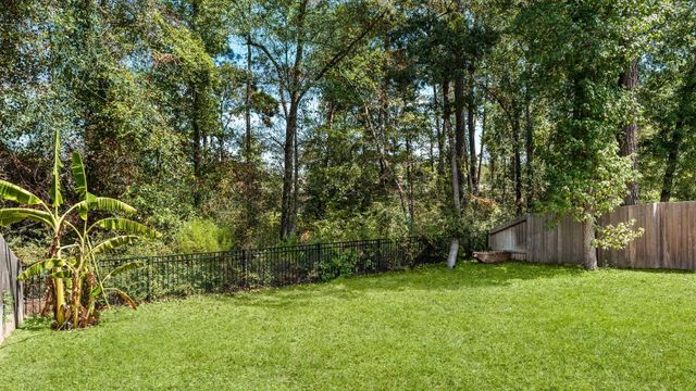 135 Courageous Side Way, Magnolia, TX 77354