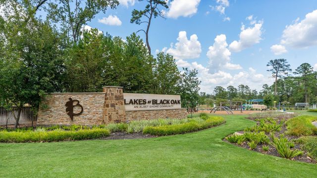135 Courageous Side Way, Magnolia, TX 77354