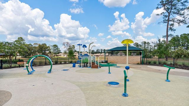 135 Courageous Side Way, Magnolia, TX 77354