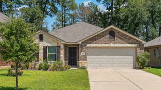 135 Courageous Side Way, Magnolia, TX 77354